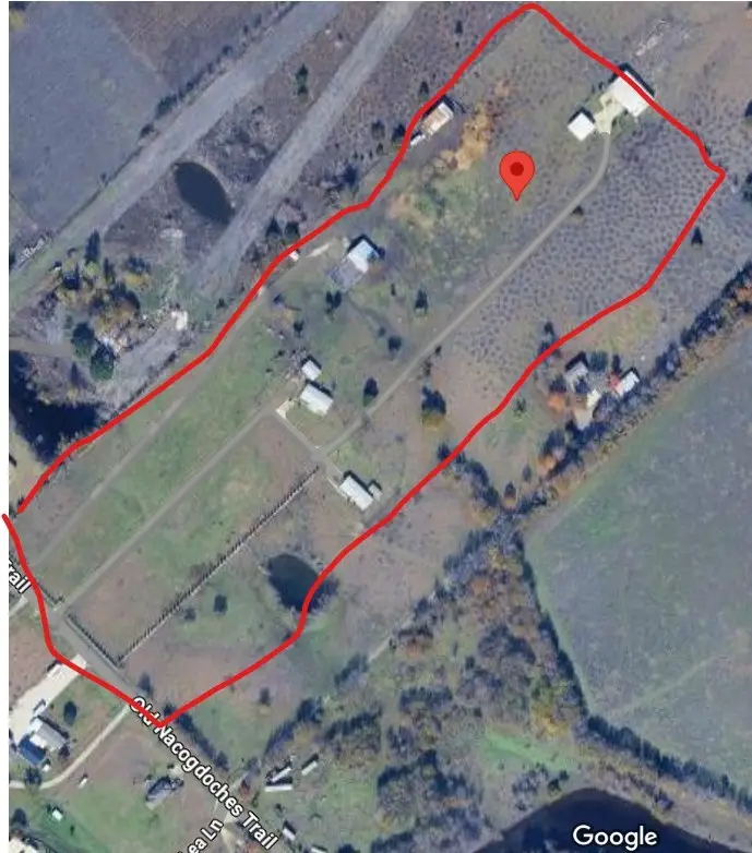 9500 Nacogdoch Trail, Forney, TX 75126 - Image #2