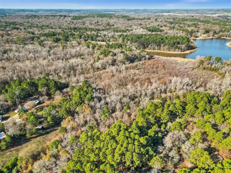 17741 County Road 431, Lindale, TX 75771 - #3