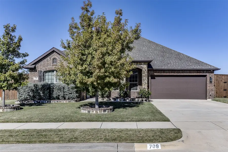 709 Autumn Run Road, Midlothian, TX 76065 - Image #3