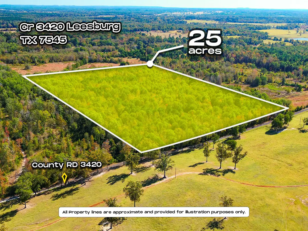 TBD County Road 3420, Leesburg, TX 75451 - Image #1
