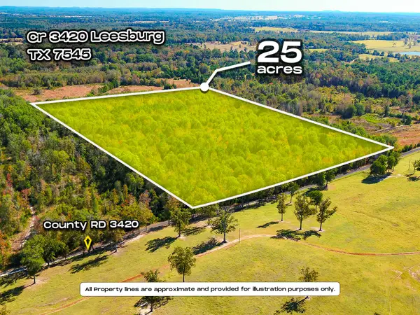 TBD County Road 3420, Leesburg, TX 75451