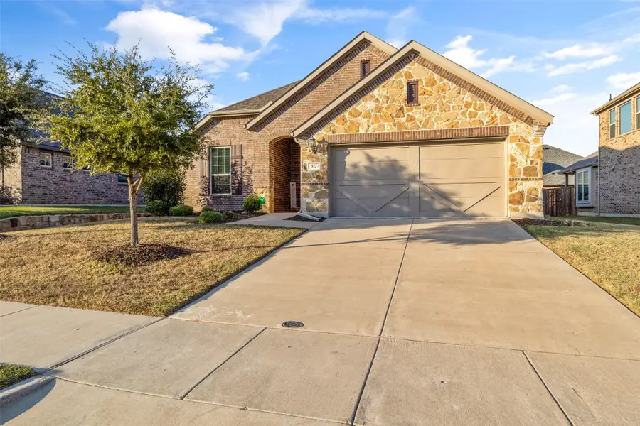 317 Timberline Drive, Midlothian, TX 76065 - Image #2