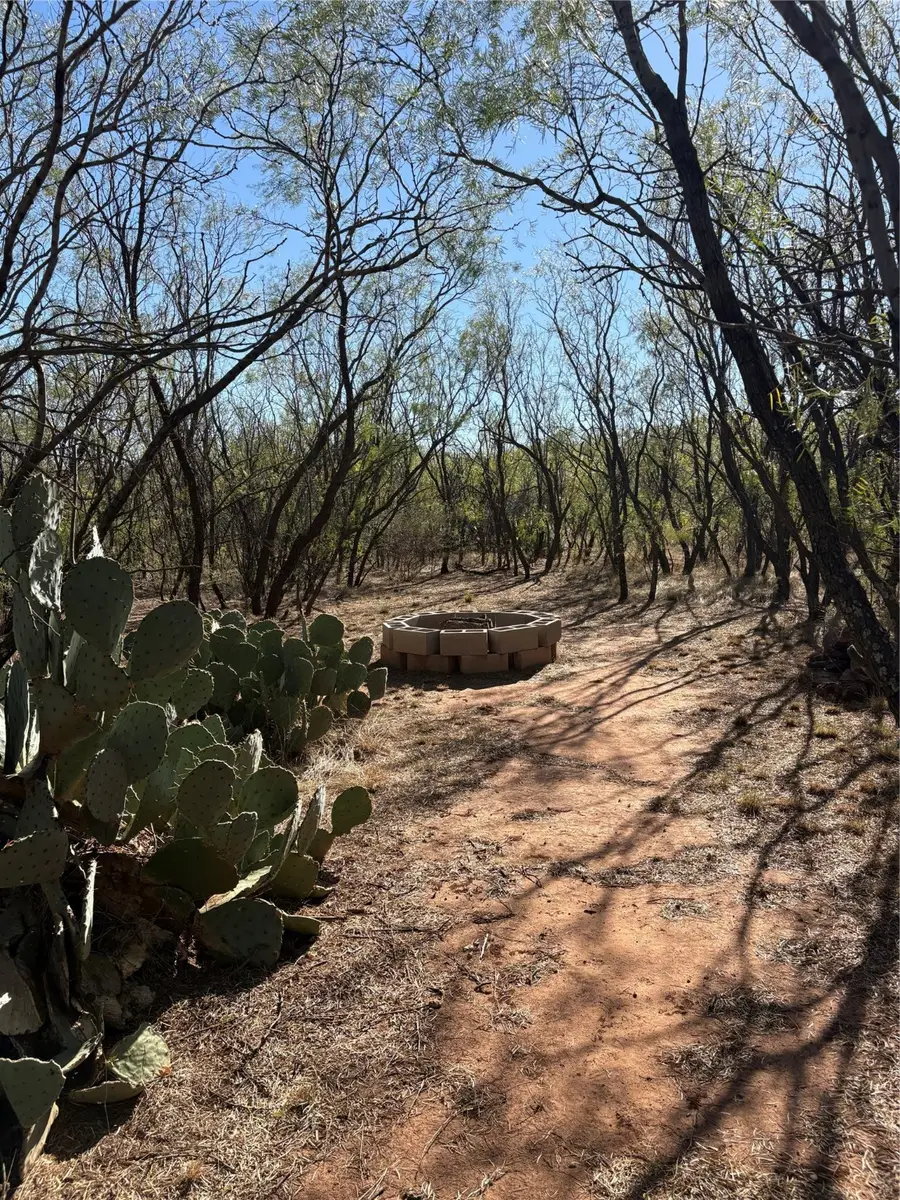 917 S Interstate Highway 20 Highway, Trent, TX 79561 - Image #3