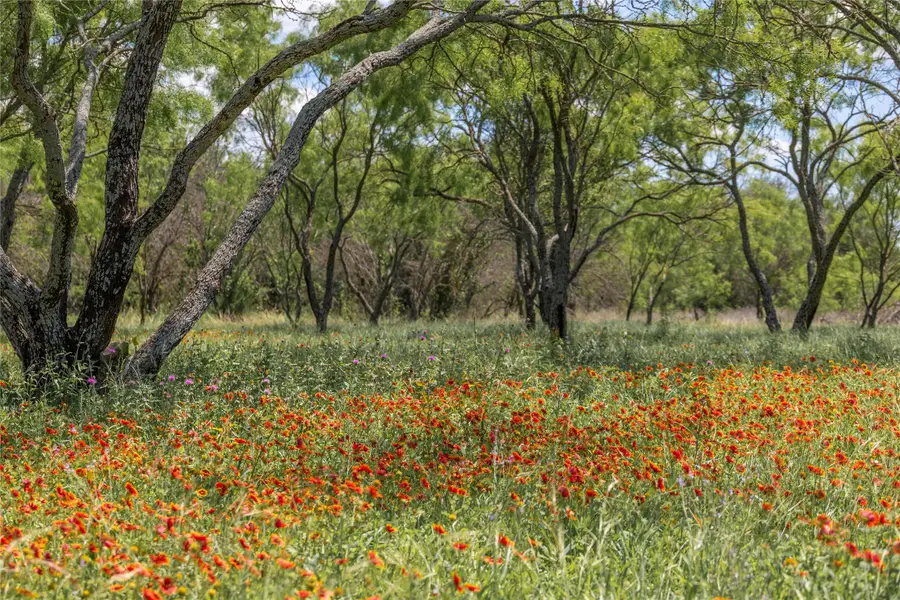 8548 County Road 332, Blanket, TX 76432 - Image #3