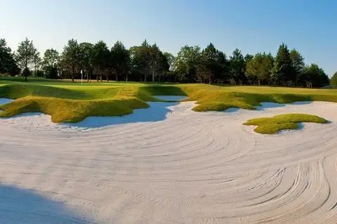 125 Windhaven Court, Gordonville, TX 76245 - Image #2