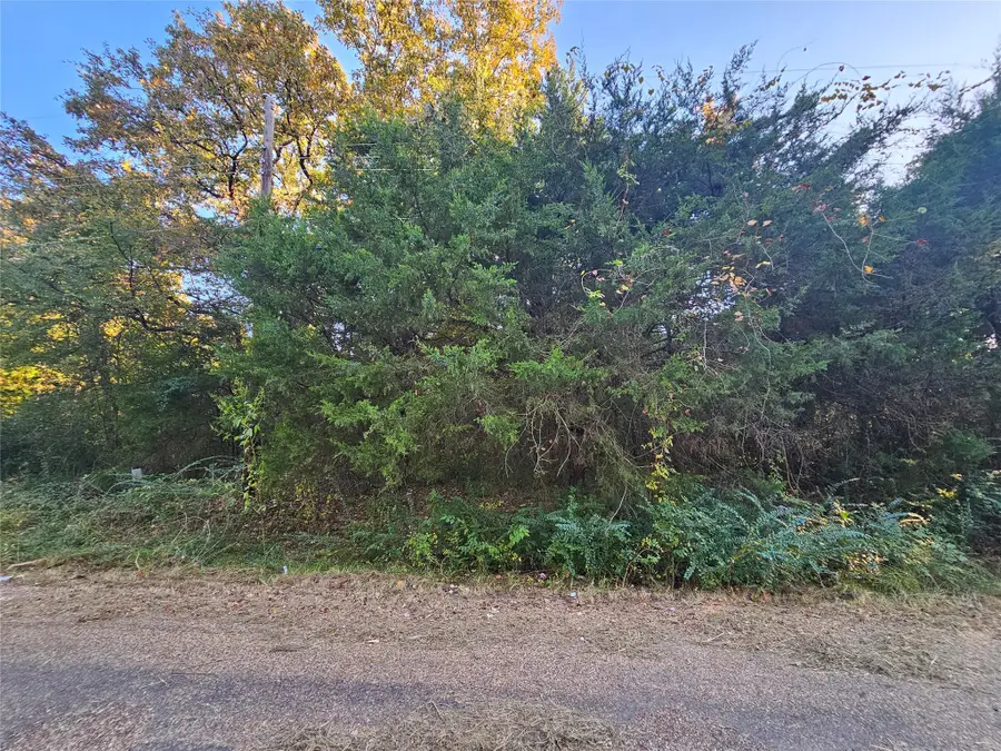 TBD Rush Road, Mabank, TX 75156 - Image #2