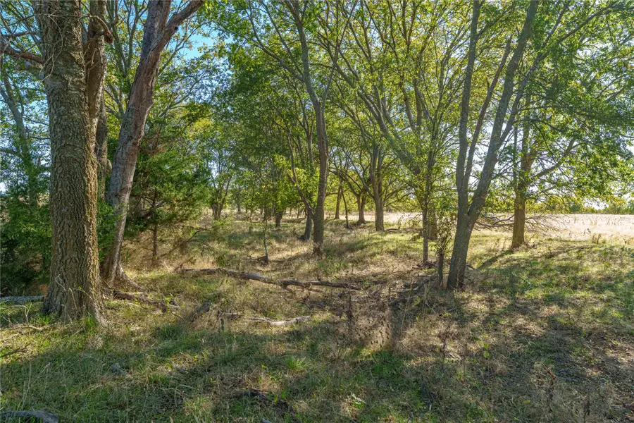 1633 Alexander Road, Moody, TX 76557 - Image #3