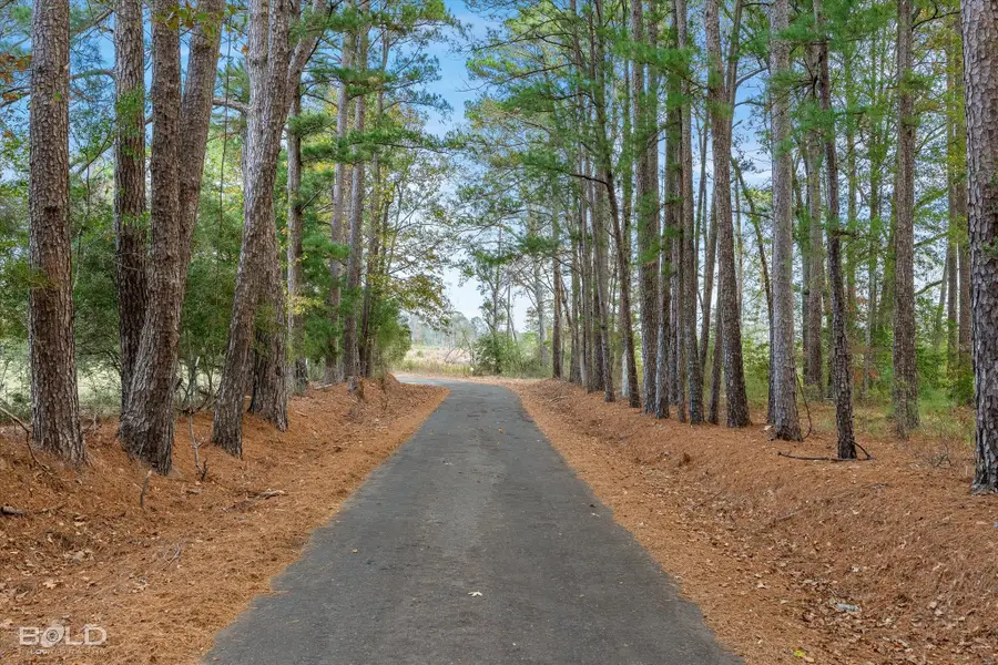 0 Pierce Road, Logansport, LA 71049 - Image #2