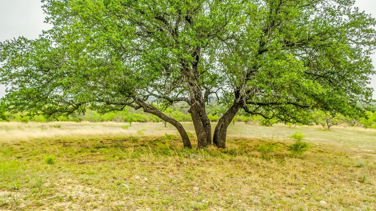 Lot 3 County Road 332, Blanket, TX 76432 - Image #1