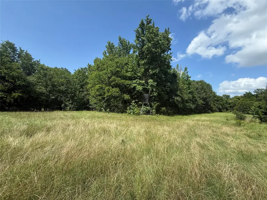 11591-2 Farm Road 269 S, Pickton, TX 75471 - Image #3