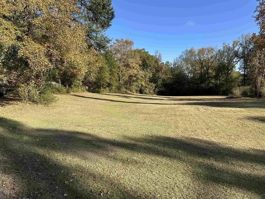 TBD N Cecelia, Mount Pleasant, TX 75455 - Image #2