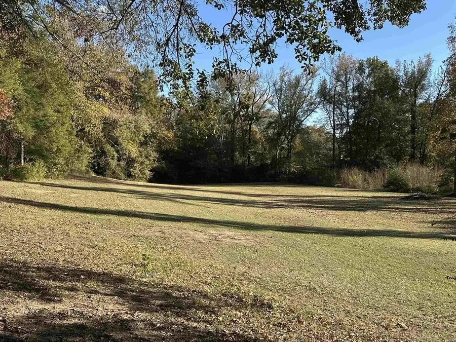 TBD N Cecelia, Mount Pleasant, TX 75455 - Image #3