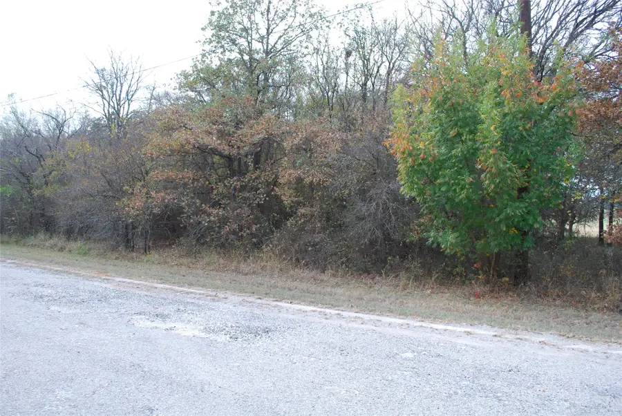 31008 Doe Run Court, Whitney, TX 76692 - Image #2