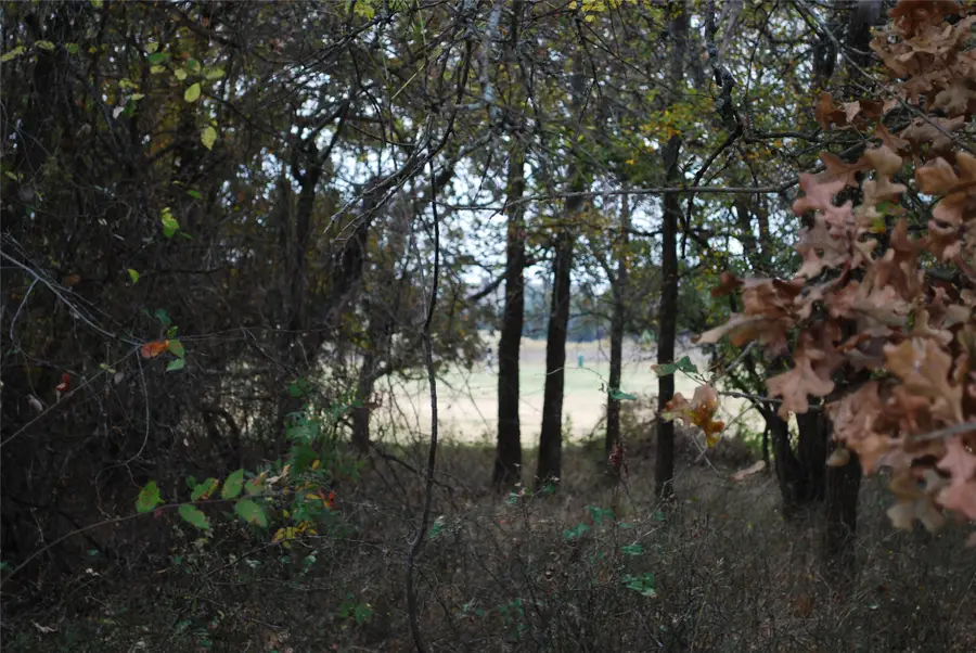 31008 Doe Run Court, Whitney, TX 76692 - Image #3