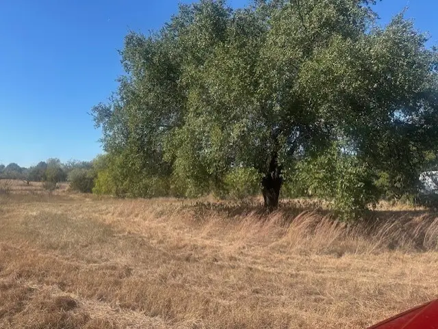 8913 S Peaceful Court, Granbury, TX 76048 - Image #1