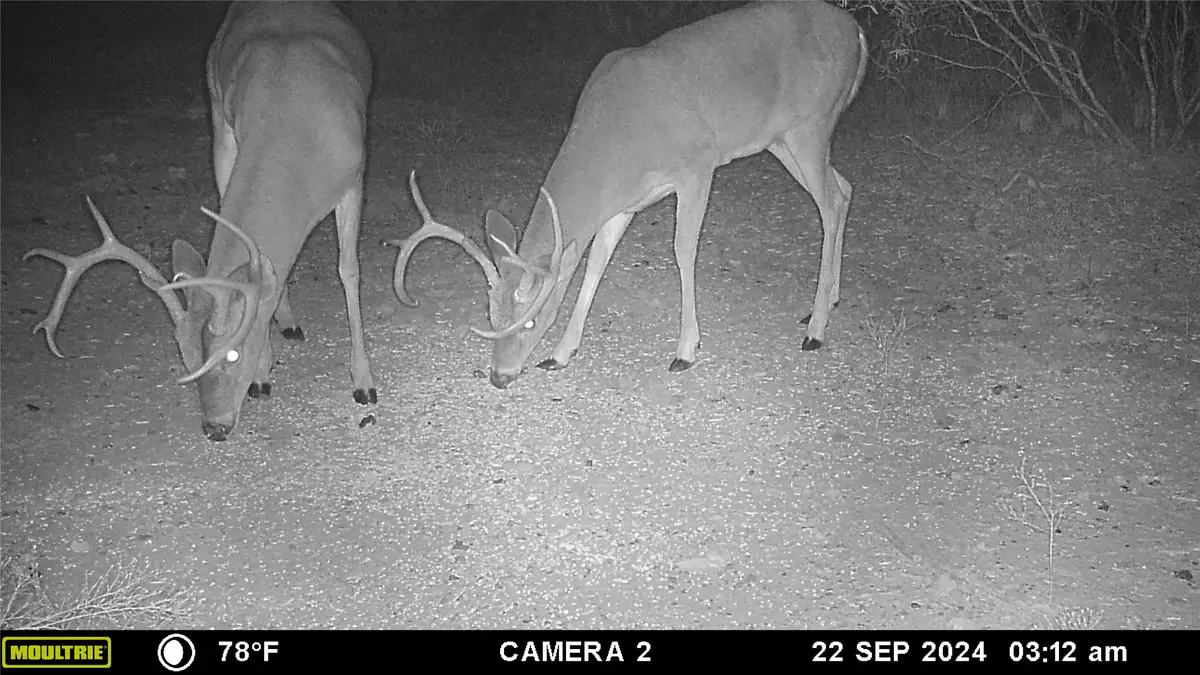 12750 Cr 129, Brownwood, TX 76801 - Image #1