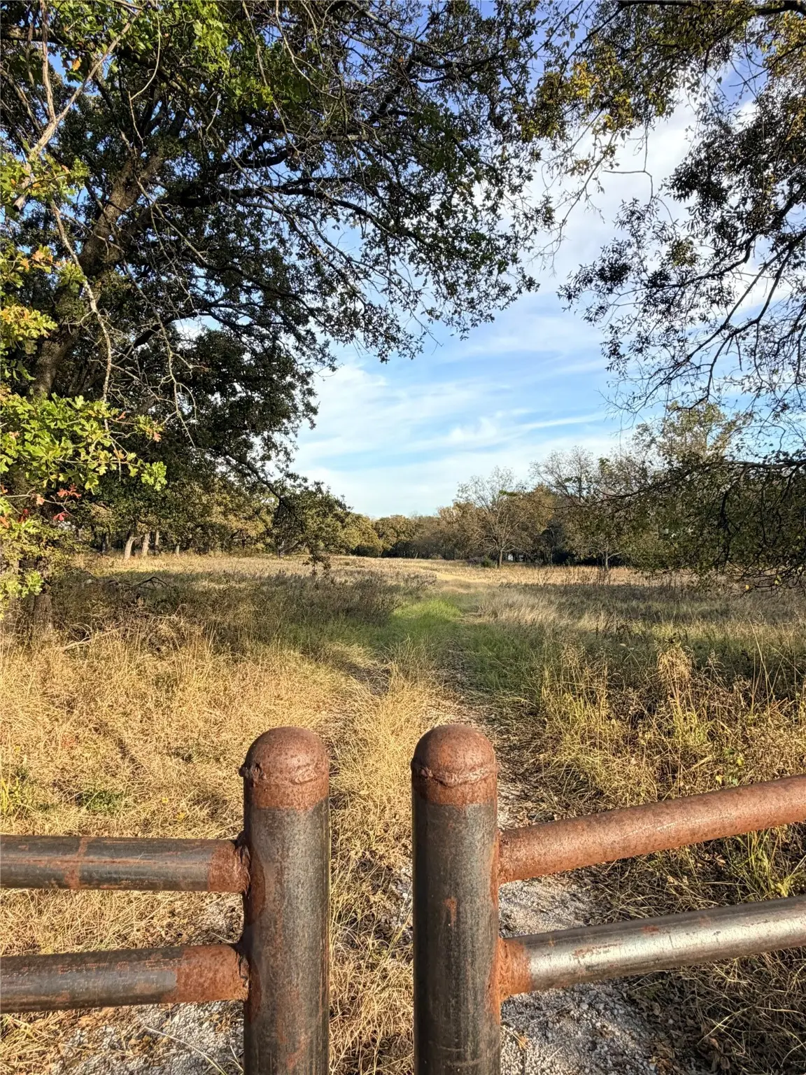 tbd Fm 1655, Chico, TX 76431 - Image #1