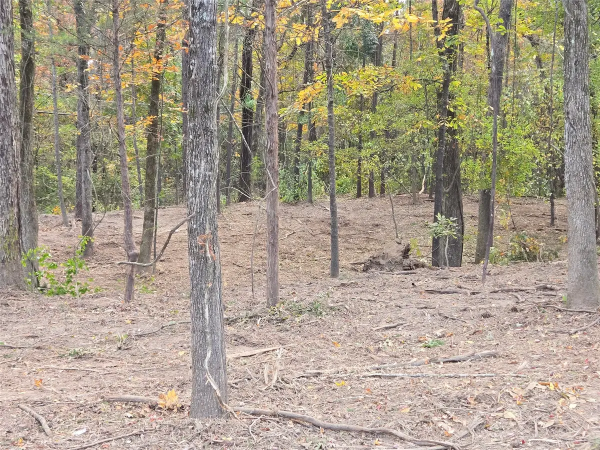 0 Lambert Street, Shreveport, LA 71119 - Image #1