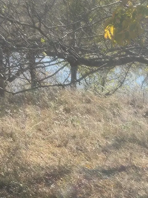 Address Withheld By Seller, Graford, TX 76449 - Image #2