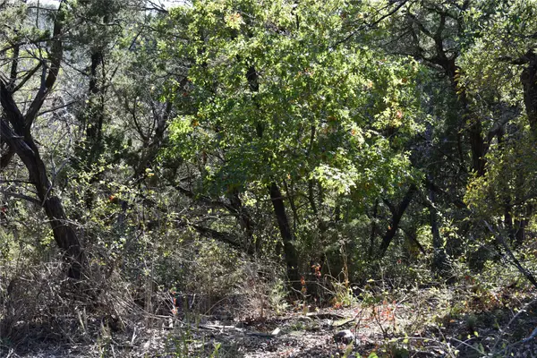 6525 Archerfield Court W, Cleburne, TX 76033