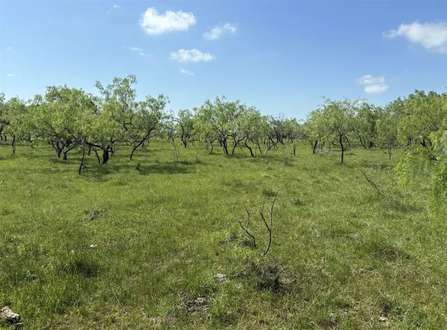 TBD 00 County Road 4160, Frost, TX 76641 - Image #2