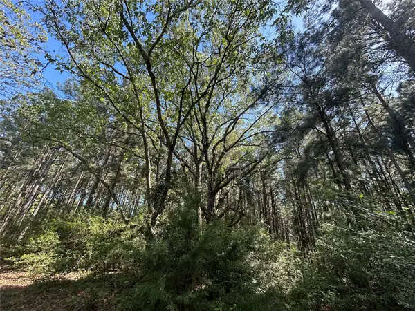 TBD 2303 An County Road, Montalba, TX 75853