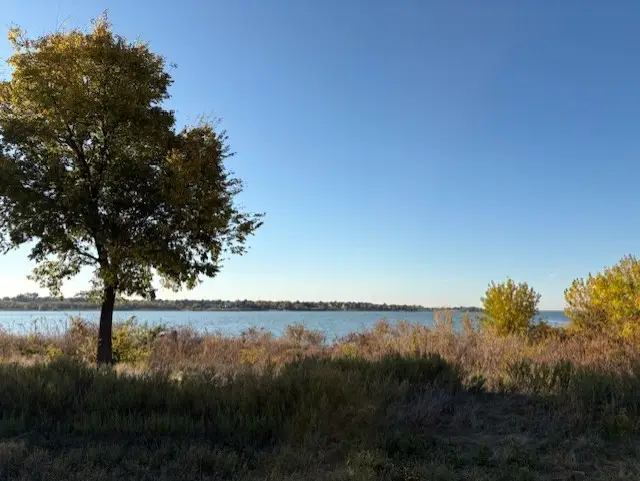 1175 Harbor Springs Drive, Frisco, TX 75036 - Image #2