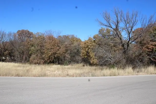 450 Rolling Hills Boulevard, Alvord, TX 76225 - Image #2