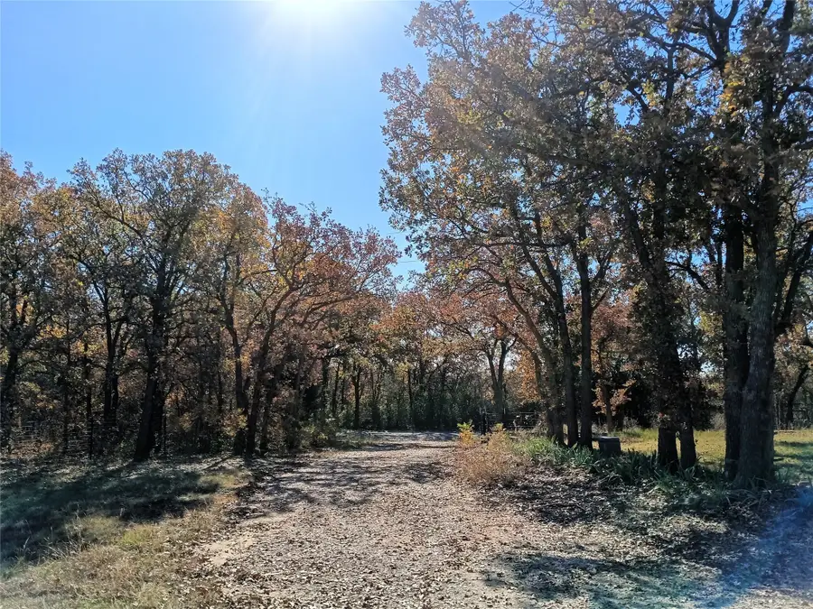 614 Hanging Tree Road, Bowie, TX 76230 - Image #2