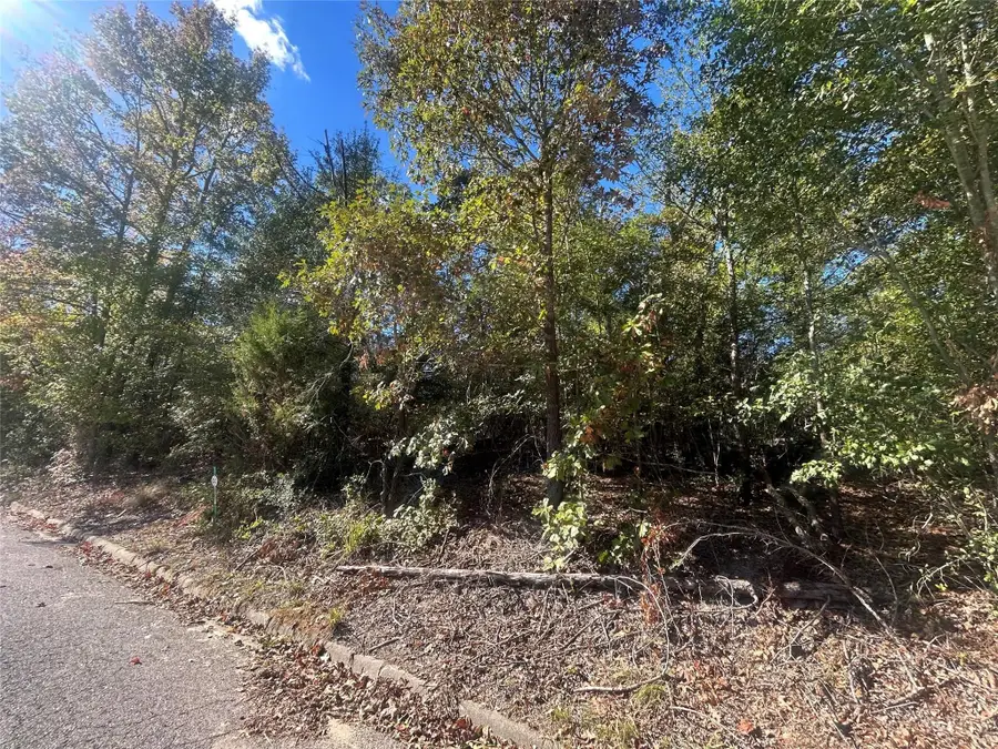 9 Bayshore Drive, Athens, TX 75752 - Image #3