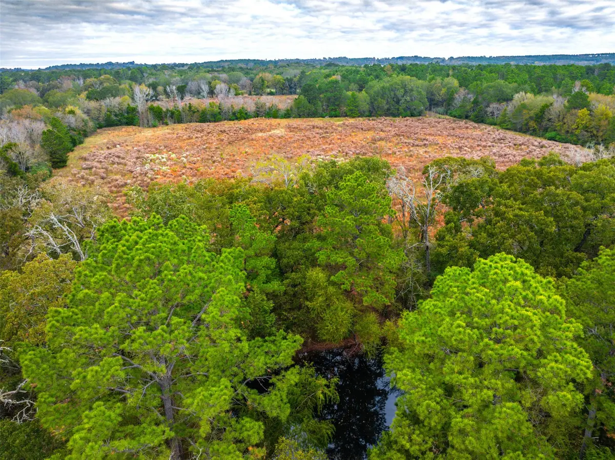 00 Anderson County Road 163, Elkhart, TX 75839 - Image #1