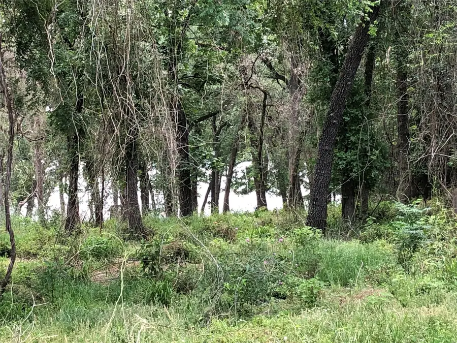 Lot 8 Lcr 777, Groesbeck, TX 76642 - Image #2