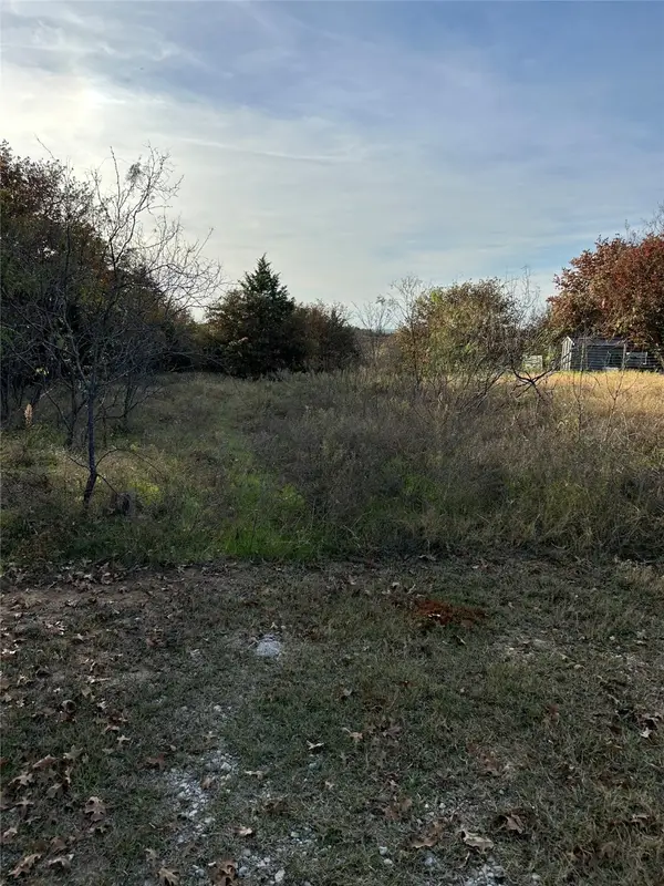 1721 Prarie Grove Rd, Valley View, TX 76272