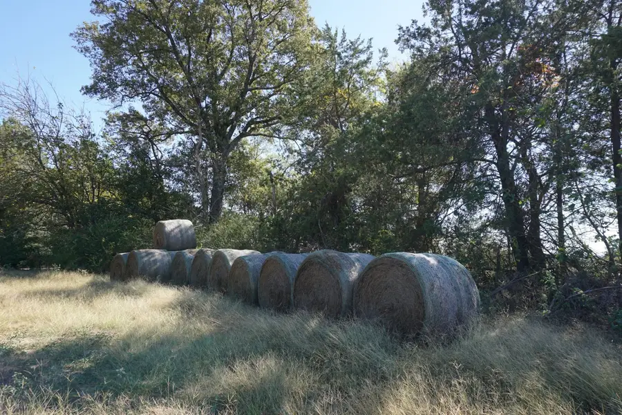 4301 Plainview Road, Naples, TX 75571 - Image #3