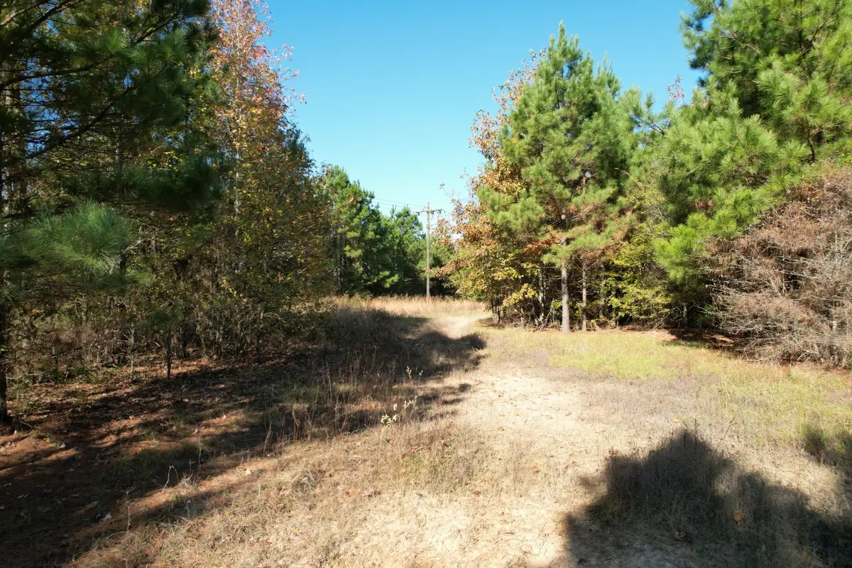 TBD Fm 1650, Gilmer, TX 75645 - Image #1