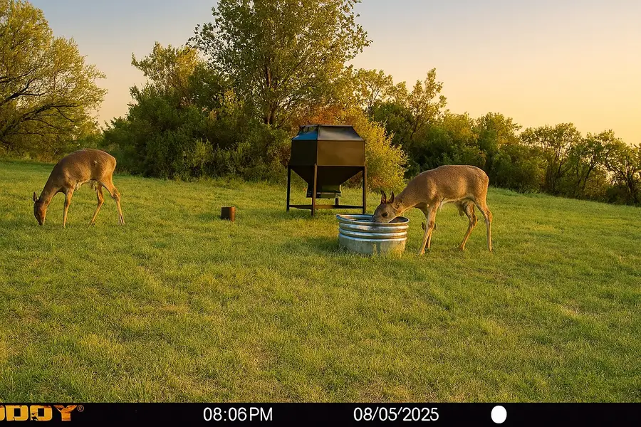 12014 C S Fm 600, Abilene, TX 79601 - Image #2