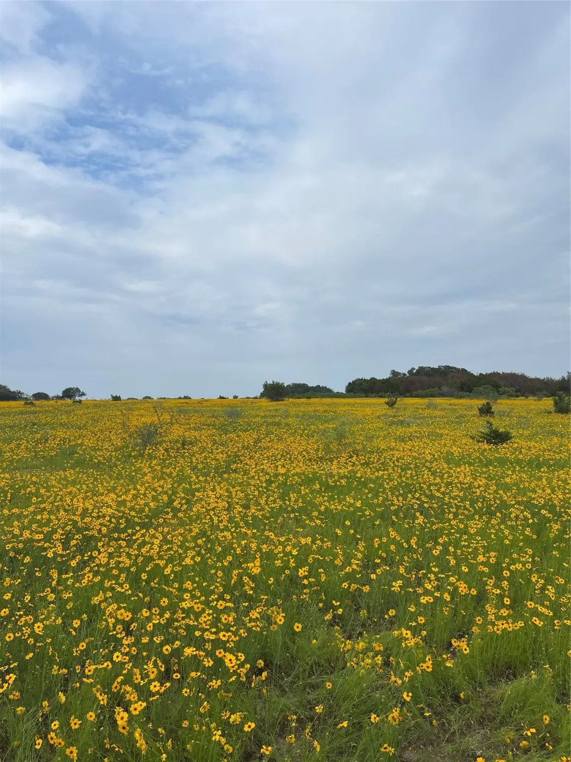 0000 Bison Ridge Drive #Lot 155, Stephenville, TX 76401 - Image #1