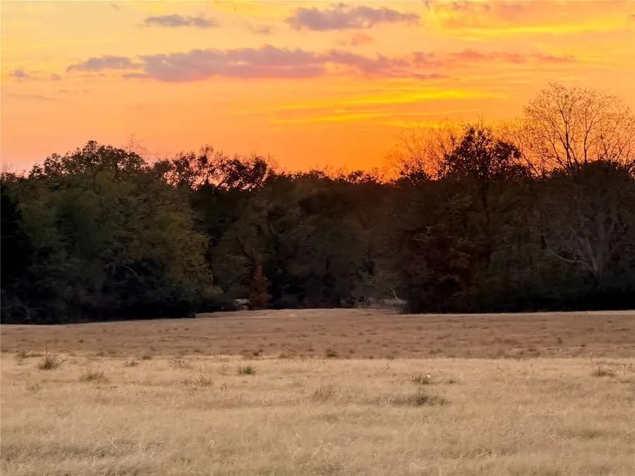 Lot #4 Tbd State Highway 19 Highway, Emory, TX 75440 - Image #3