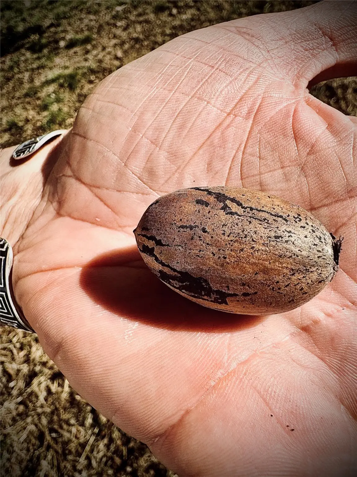 2218 W Kaufman Street, Paris, TX 75460 - Image #1