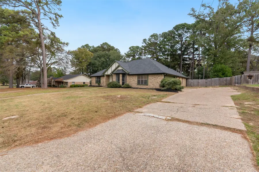 18133 Briarcrest Drive, Flint, TX 75762 - Image #2