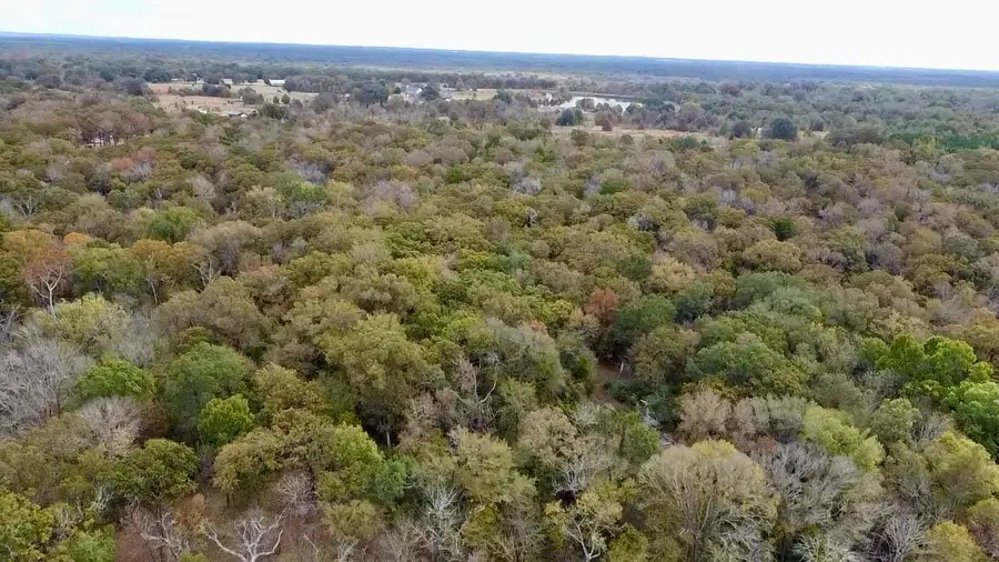 15308 W Fm 321, Tennessee Colony, TX 75861 - Image #3