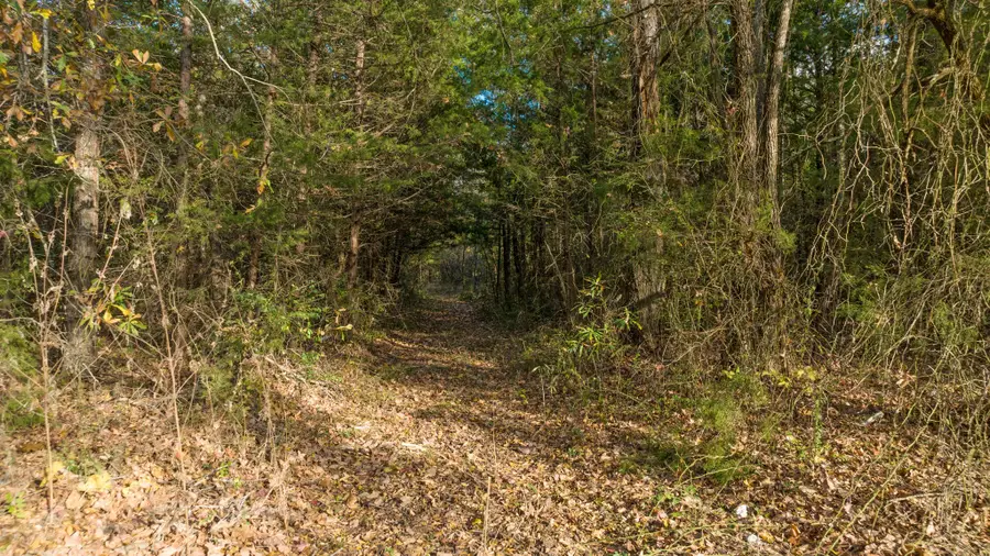 TBD Cr 1440, Bogata, TX 75417 - Image #3