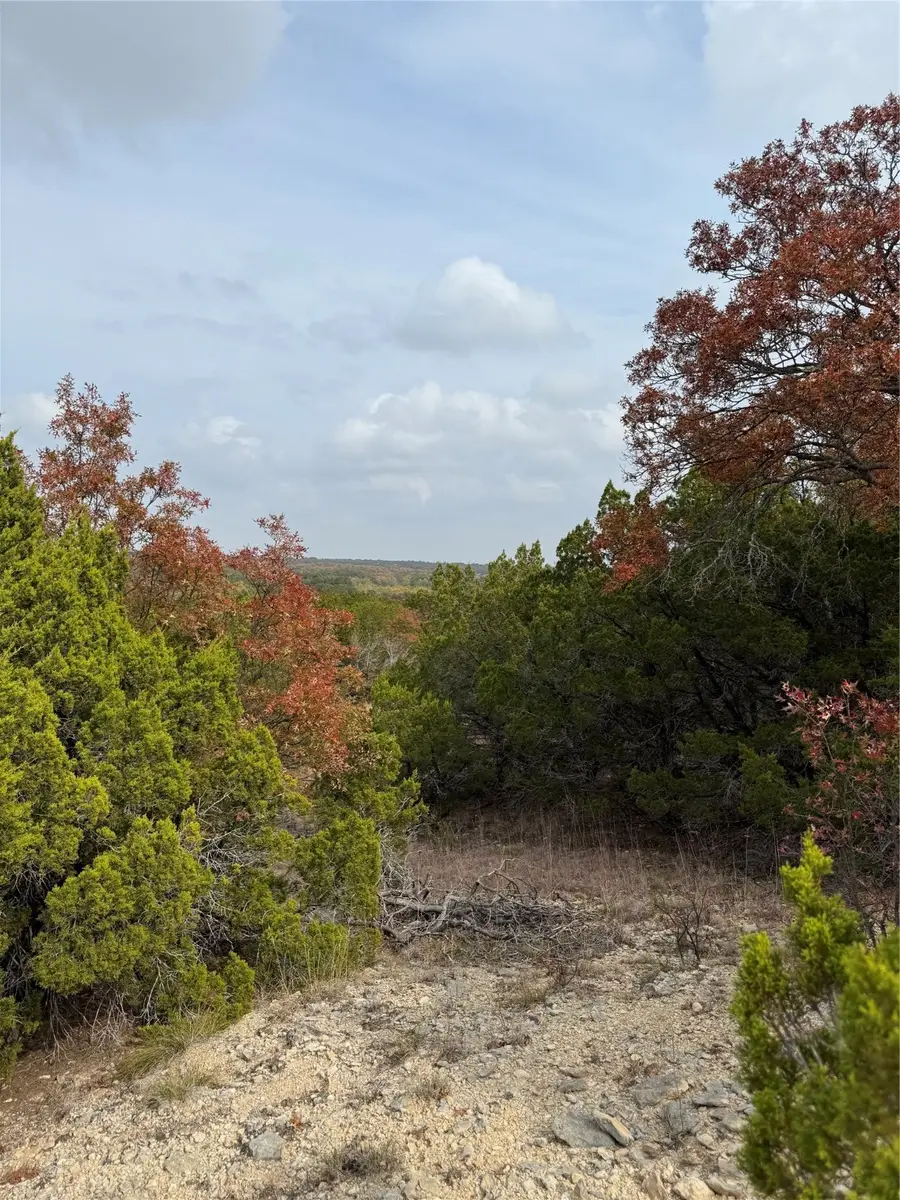 TBD Butterfield Trail, Tuscola, TX 79562 - Image #3