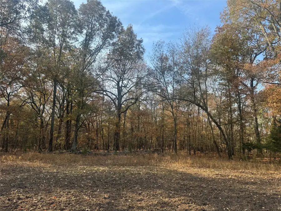 000 Fm 44, Annona, TX 75550 - Image #3