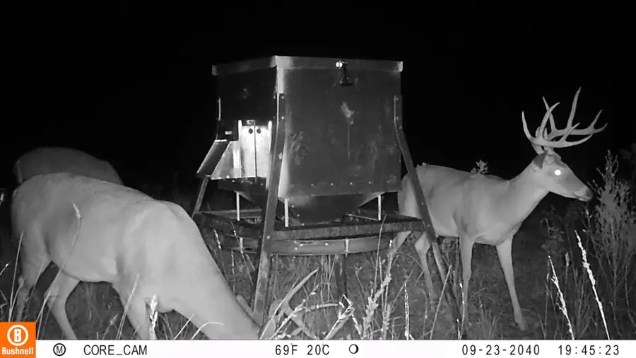 0000 Marley Road, Bryson, TX 76458 - Image #3