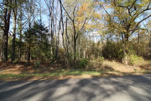 0 Harris Road, Homer, LA 71040