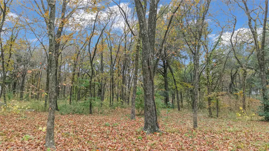 0 Cedar Creek Landing Lane, Cedar Creek Lake, TX 75143 - Image #3