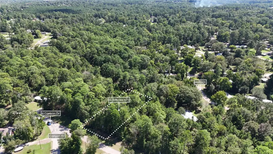 Lot 226 Canyon Drive, Onalaska, TX 77360 - Image #3