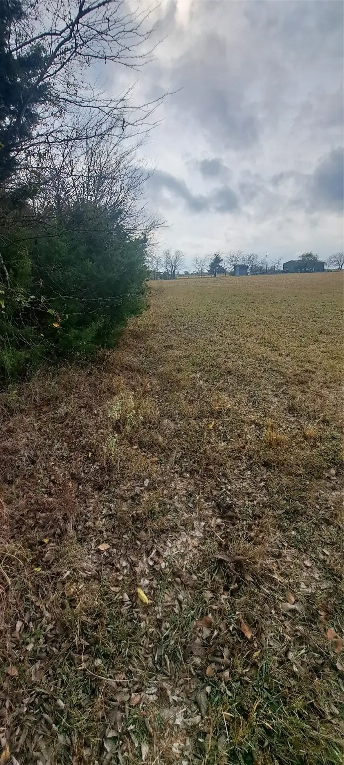 Tract 9-10 County Rd 3216, Lone Oak, TX 75453 - Image #2