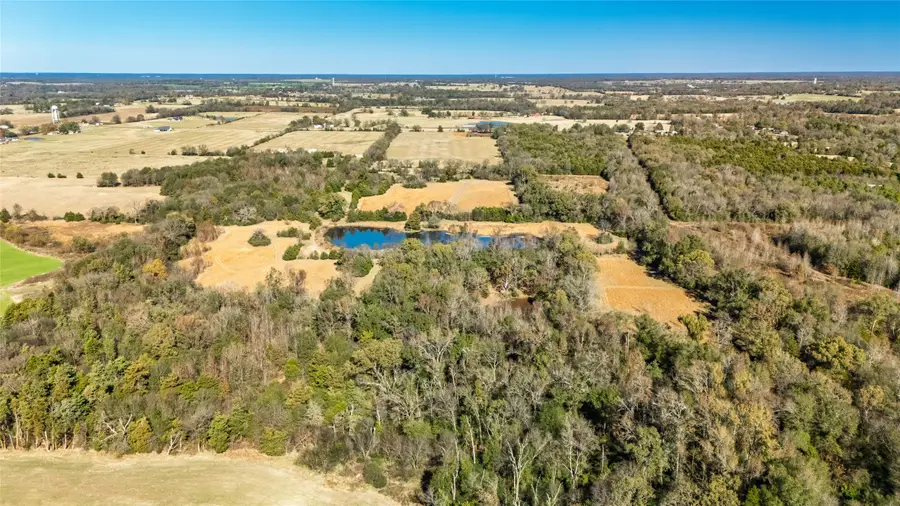 44.8 ac County Road 2324, Como, TX 75431 - Image #3